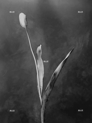 光度-繪畫體素系列