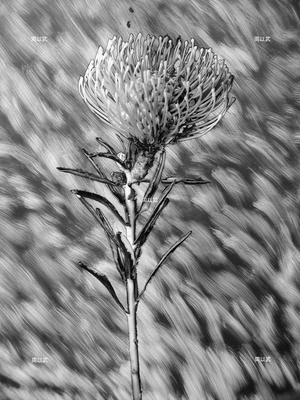 光度-繪畫體素系列