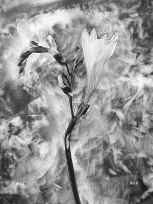 光度-繪畫體素系列