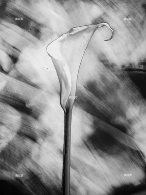 光度-繪畫體素系列