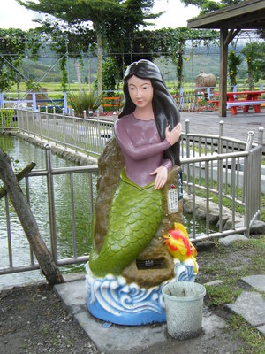 很難得見到的人魚飼料機