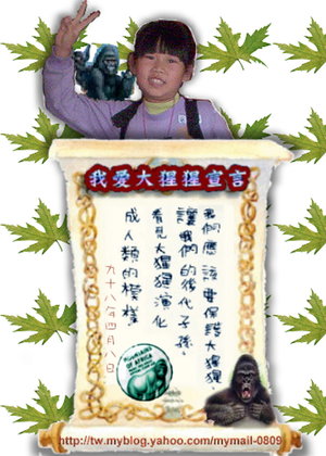 新照片設計4126-2