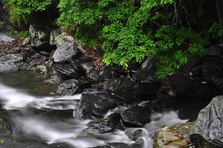 茂林小溪
