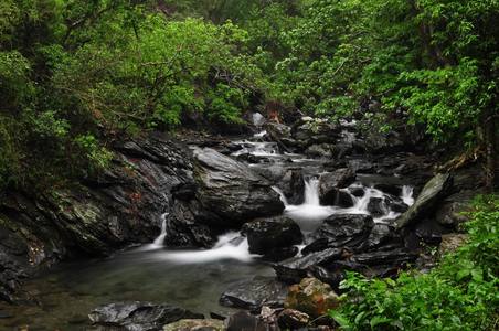 茂林小溪