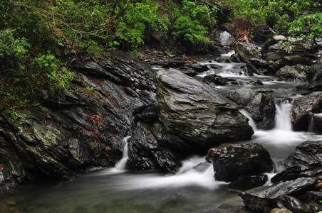 茂林小溪