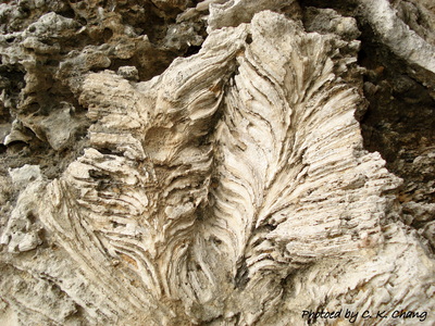 Demogorgan 2007/1~2008/9總精選輯