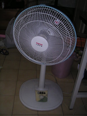 電風扇 (已預訂)