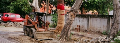 大龍國小內的大龍峒遺址˙2009年5月3日