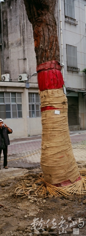 大龍國小內的大龍峒遺址考古探坑˙2009年5月3日