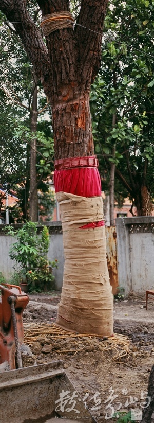 大龍國小內的大龍峒遺址考古探坑˙2009年5月3日