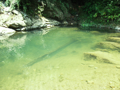 [新竹關西] 同學會