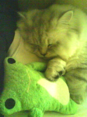 小寶寶與哇哇蛙