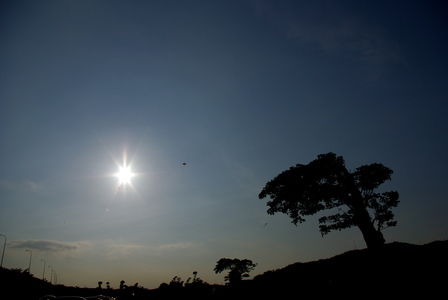 2009-4-11-淡水 大直