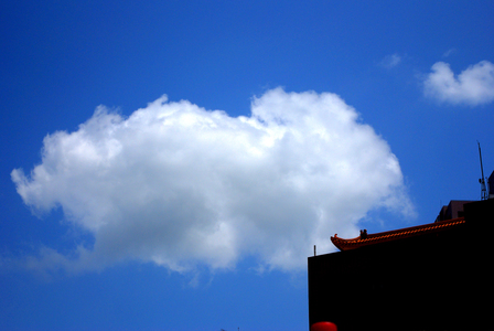 2009-4-11-淡水 大直