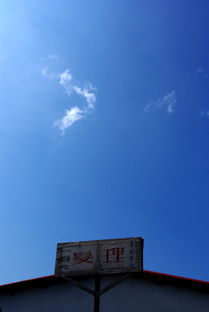 2009-4-11-淡水 大直