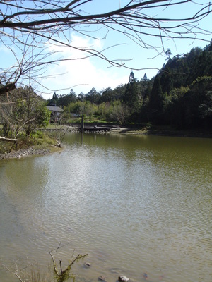 20090202明池