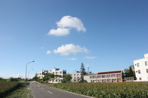 [金寧─2008] 洪家榮 攝