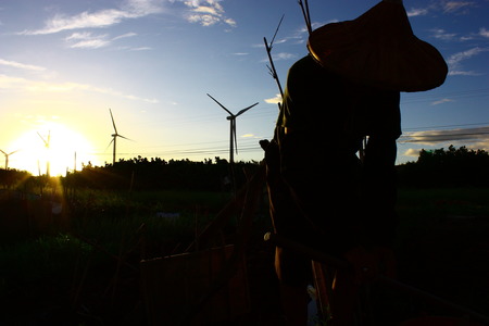 最美麗的因與果