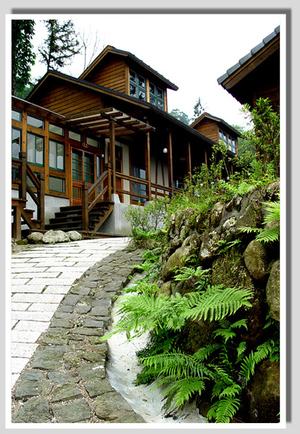 old photo of my family