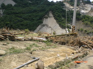 外婆家的芒果園