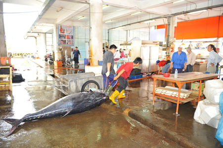 【 2010 第五屆數位島嶼攝影比賽 】 百業留影-漁業