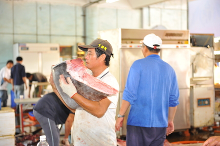 【 2010 第五屆數位島嶼攝影比賽 】 百業留影-漁業