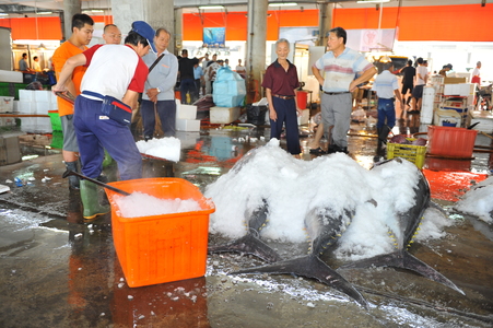 【 2010 第五屆數位島嶼攝影比賽 】 百業留影-漁業