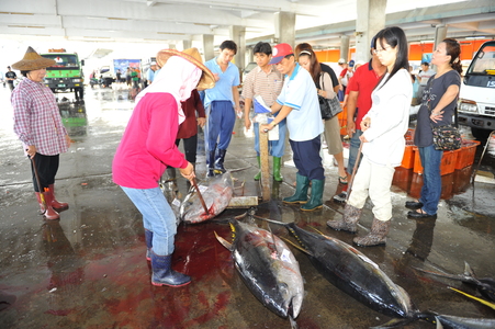 【 2010 第五屆數位島嶼攝影比賽 】 百業留影-漁業