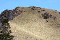 合歡西峰