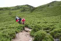 13個月大阿禎登合歡東峰