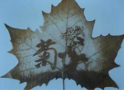 三年級班親會_2010_09_03