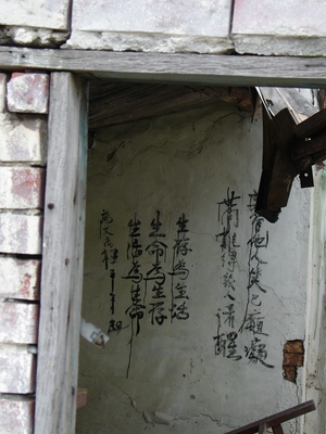 20060423平鎮市 忠貞里 忠貞新村