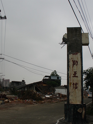 20060423平鎮市 中正里 篤行四村