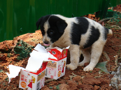20060407 平鎮市 貿易七村