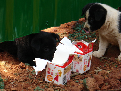 20060407 平鎮市 貿易七村