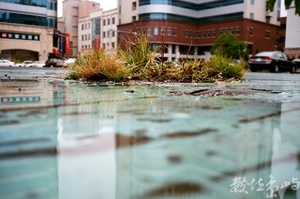 竹北停車場風光