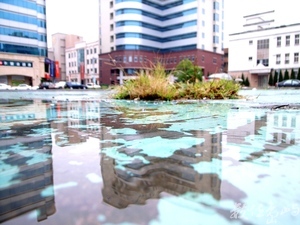 竹北停車場風光