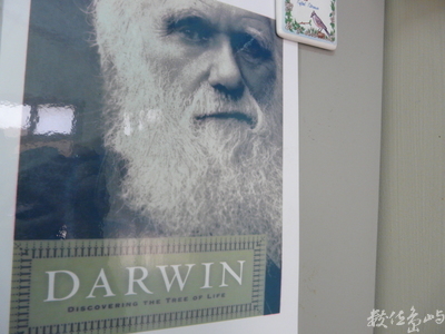 標本製作家－葉玉成