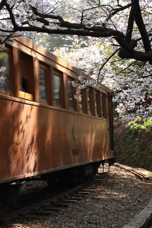 阿里山 鐵道
