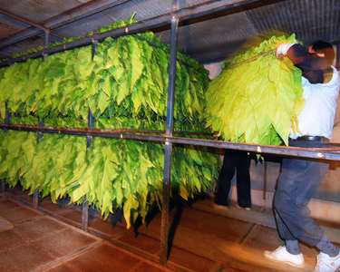 2010 第五屆數位島嶼攝影比賽 -林美汝攝影