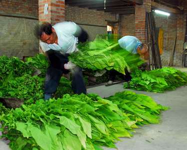 2010 第五屆數位島嶼攝影比賽 -林美汝攝影