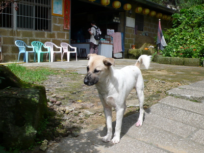 公務員的工作實況