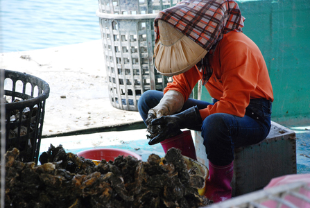 2010第五屆數位島嶼攝影比賽- 海予溫飽