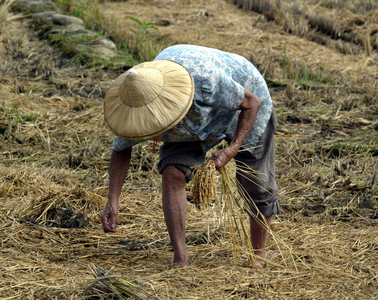 一步一腳印＿農耕情