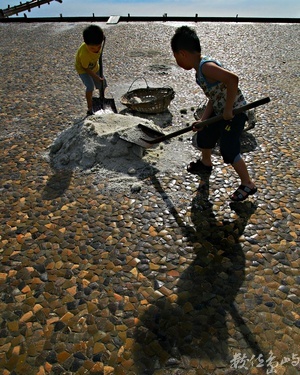 傳統產業的新活力