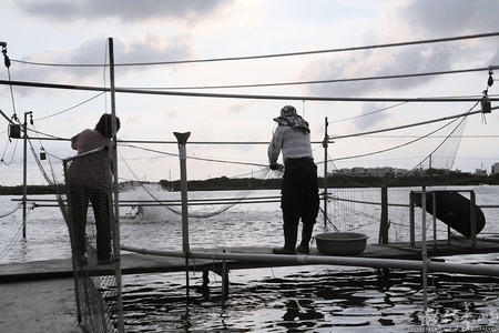 日落 - 台南養殖漁業