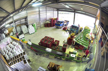 台灣金鑽_金讚!