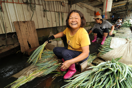 大甲玉蔥-蔥名絕頂