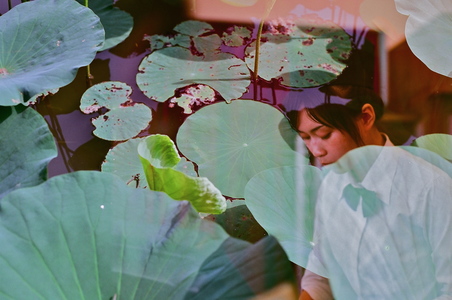 heaven in a wild flower