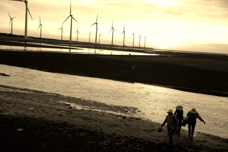 2010第五屆數位島嶼攝影比賽-單純